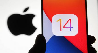 iOS 14.2: novità, correzioni e dispositivi compatibili con il nuovo aggiornamento di Apple