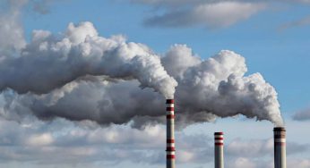 L’islanda detiene il record dello stabilimento più grande al mondo. Ma di cosa tratta?