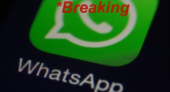 WhatsApp e le novità infinite sulla privacy: solo gli utenti Europei si salvano