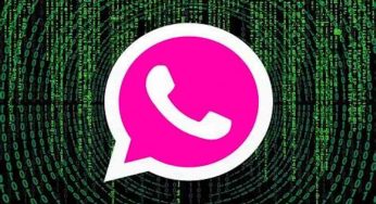WhatsApp Pink, pensi sia utile? E’ invece un terribile virus