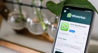 Nuova release beta di WhatsApp svela un’attesissima funzione in arrivo
