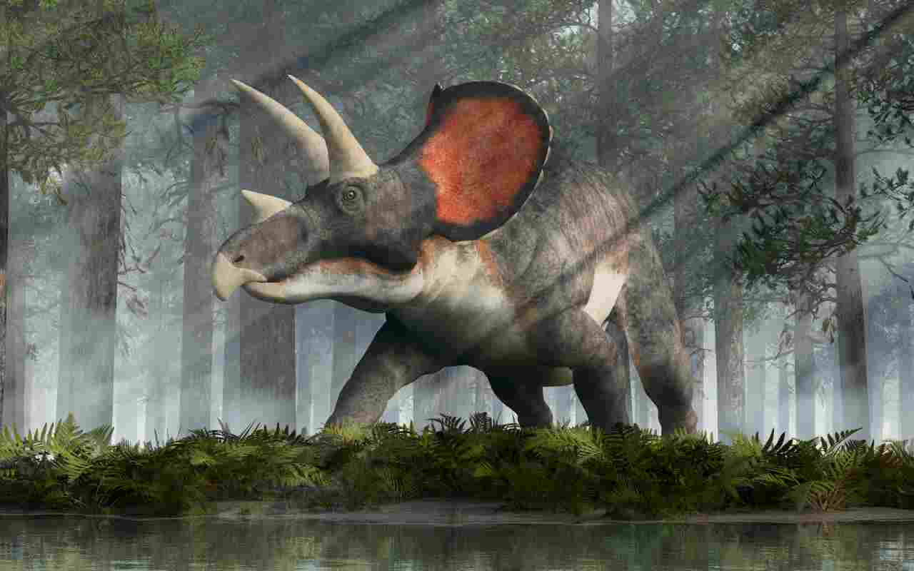 Ricostruzione di un triceratopo - MeteoWeek.com