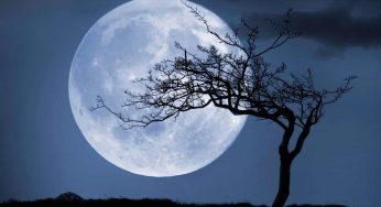 L’eclissi lunare piu lunga di sempre è a Novembre, ecco quando