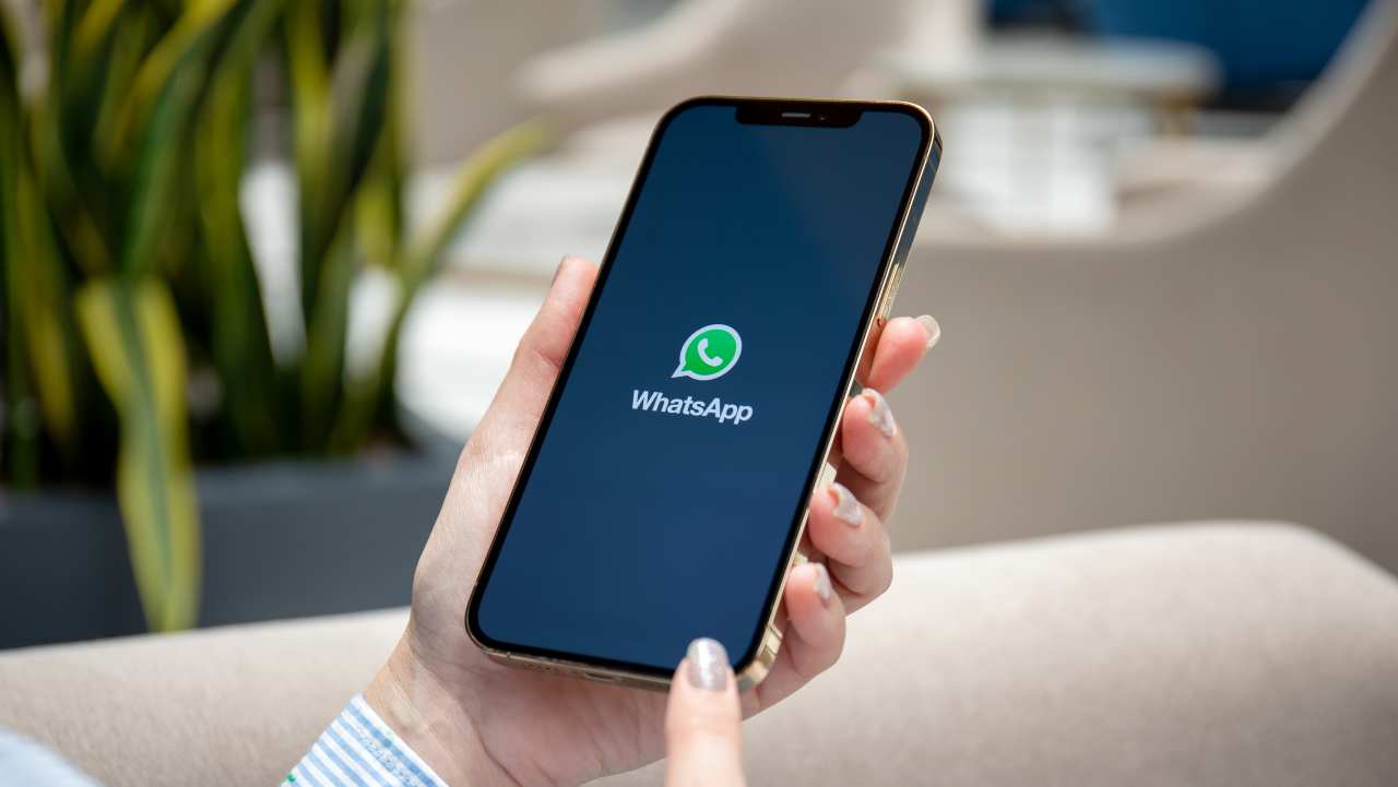 WhatsApp su un telefono ma con due profili? Ecco come si fa