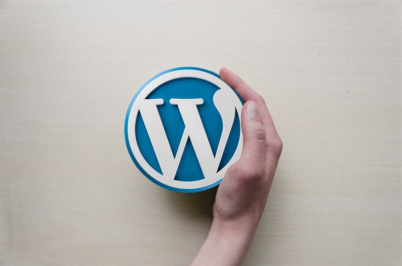 WordPress, il logo 20220224 tech