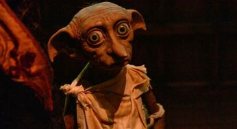 Dobby come Putin? Secondo questa folle teoria, sì