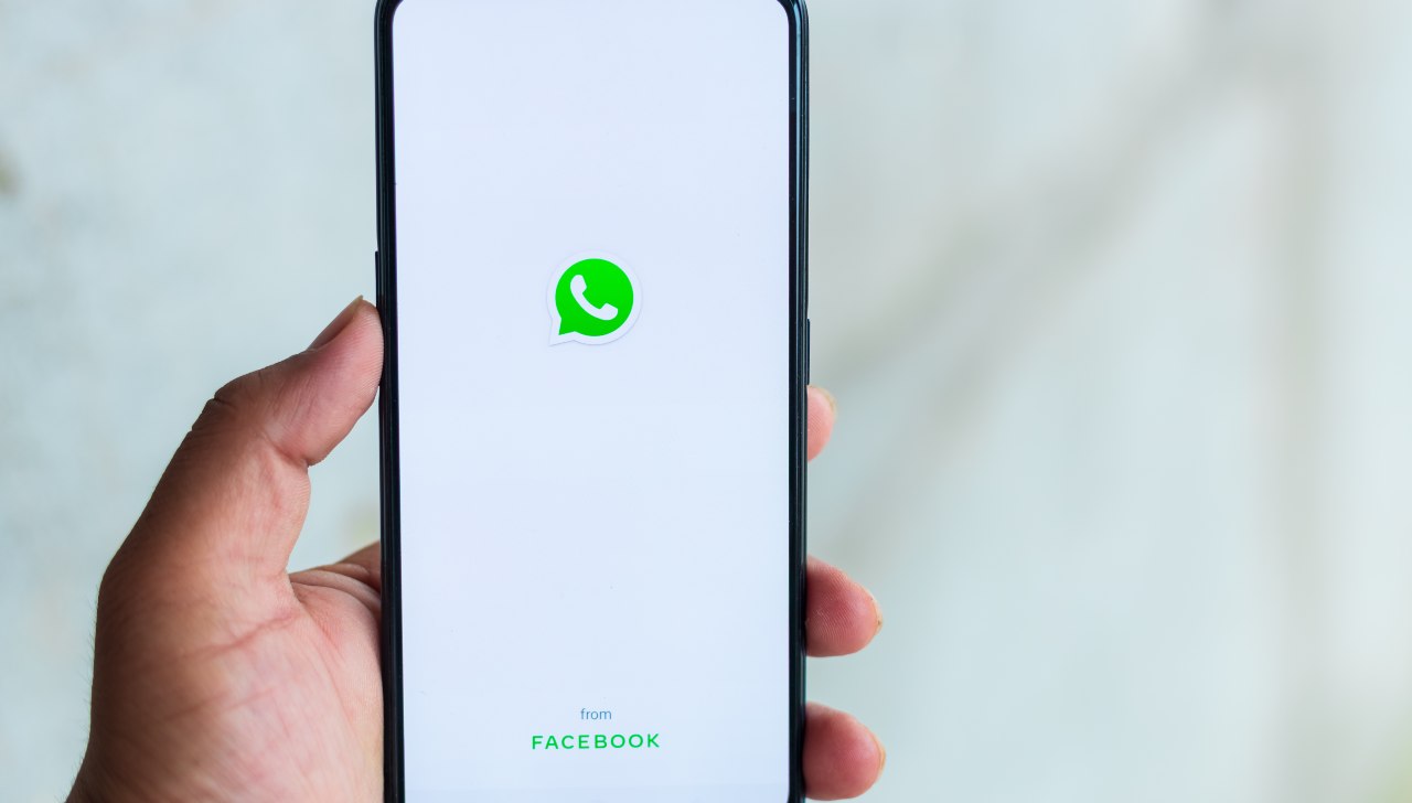 WhatsApp diventa a pagamento: quanto costa e a chi è rivolto