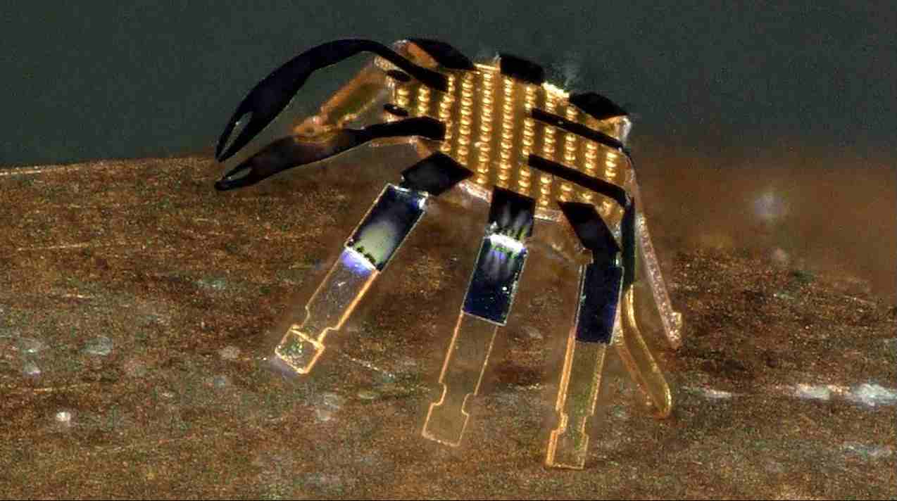 Crab Robot 20220530 tech