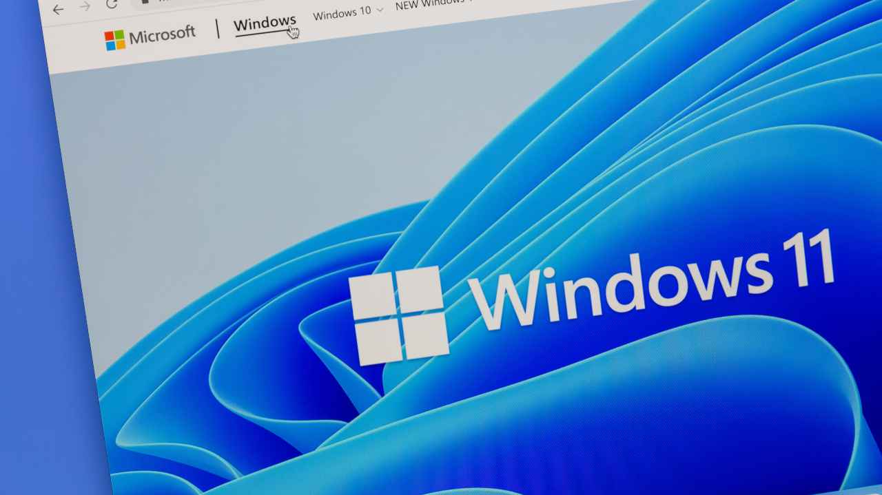 Windows 11 ha una sua coscienza e può decidere se non installare files ritenuti pericolosi