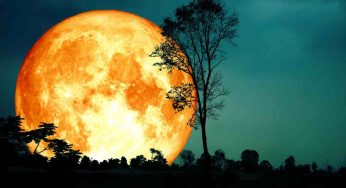 La Super Luna si mostrerà a Giugno in tutto il suo splendore: ecco la data e come vederla al meglio