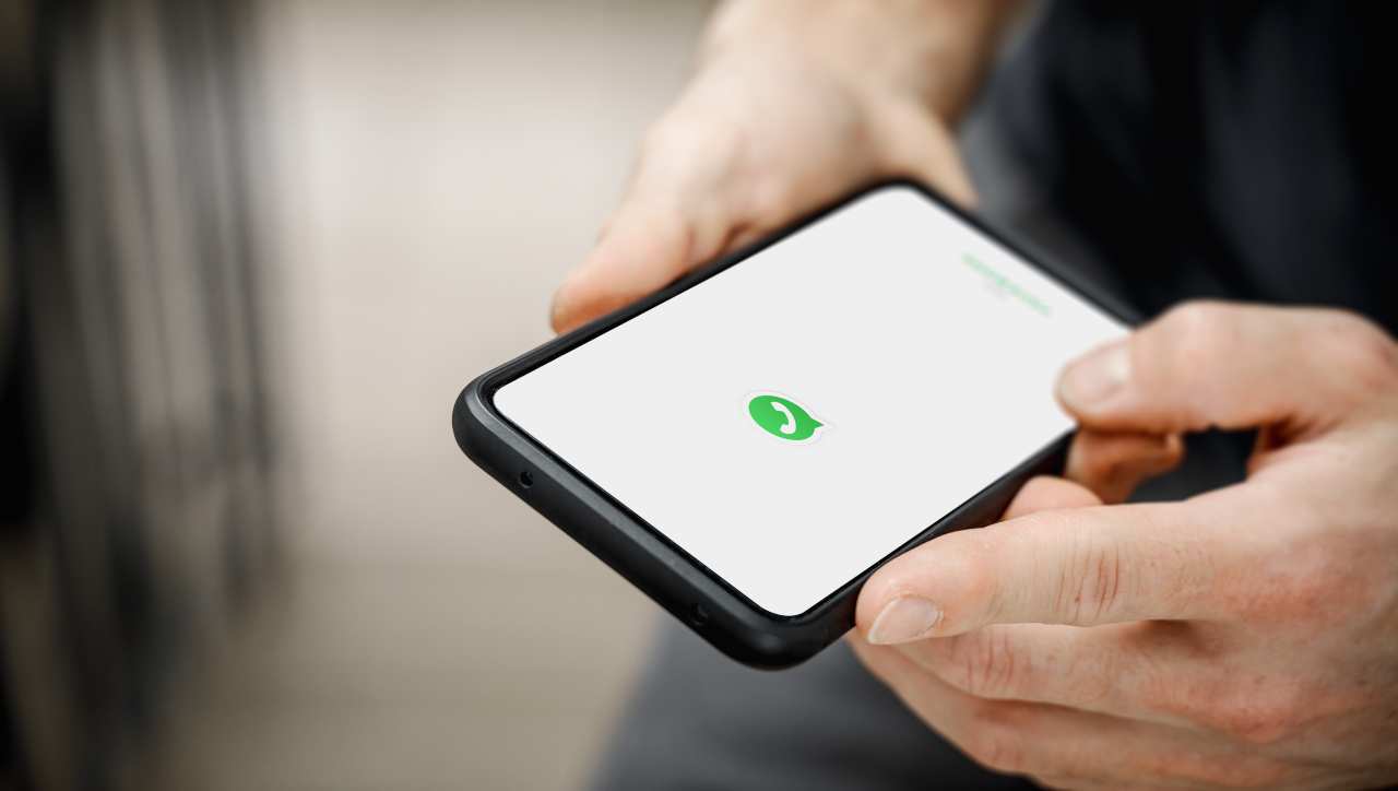 Su WhatsApp è possibile aprire una chat fuori dall'app: ecco come fare