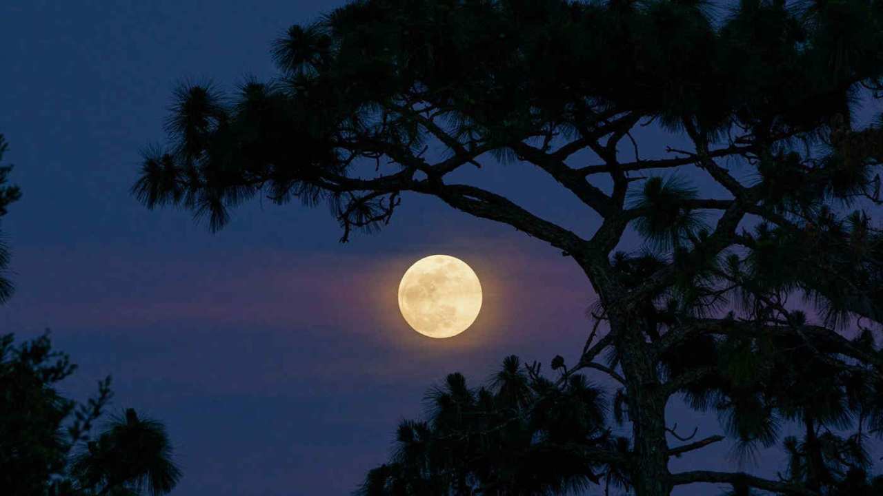 A Luglio ci sarà il più bello spettacolo della Natura: la Super Luna, ecco quando e come osservarla